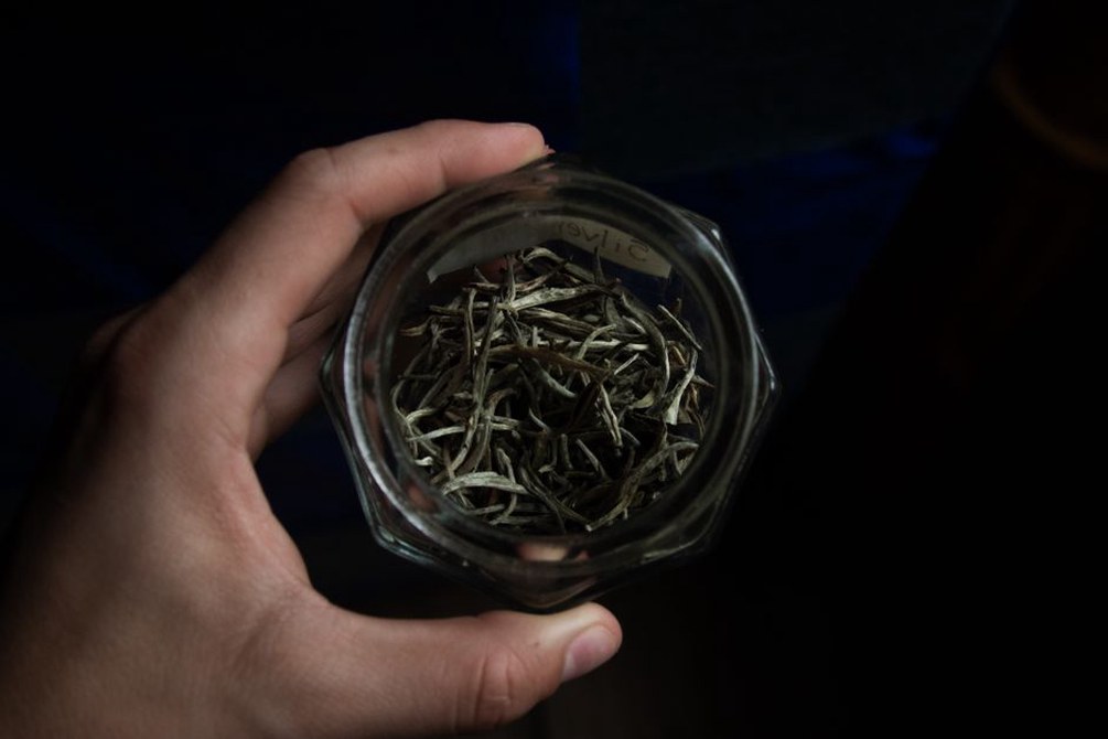 Feuilles d’oolong aux nuances vertes et brunes