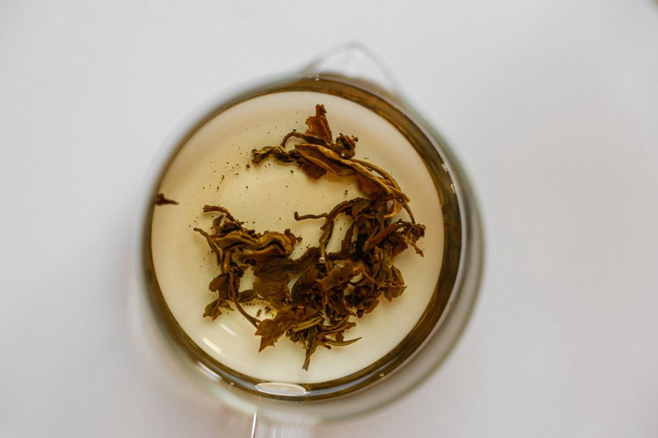 Infusion dorée de thé blanc dans une théière en verre